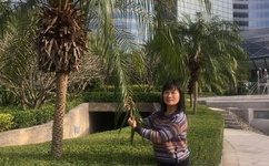 proumb站中国女角色排名